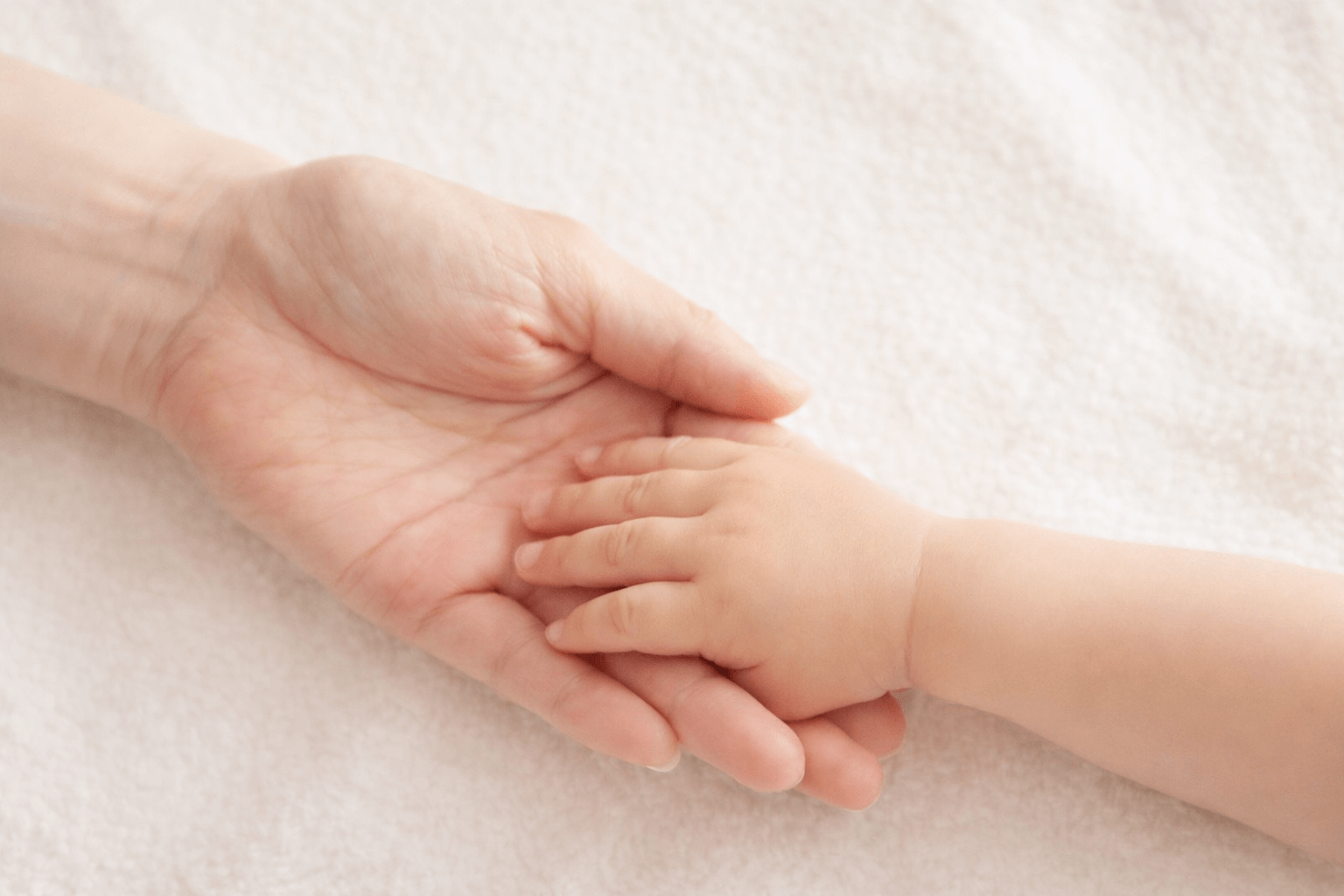 ママと赤ちゃんの手の画像